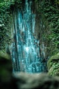 Waterfall long exposure with green plants Royalty Free Stock Photo