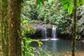 Waterfall that looks through the trees of a jungle Royalty Free Stock Photo