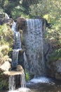 Waterfall at Los Angeles Arboretum and Botanical Garden Royalty Free Stock Photo