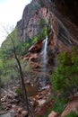 Waterfall at the Lower Emerald Pool in Zion National Park Royalty Free Stock Photo