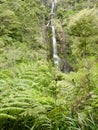 Waterfall in lush Forest Waitakere, New Zealand