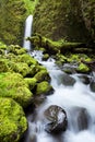 Waterfall in lush rainforest, Columbia River Gorge, Orego Royalty Free Stock Photo