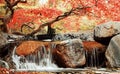 waterfall with lust orange colorful leaves and tree\'s