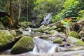 Waterfall in the malaysian rainforest Royalty Free Stock Photo