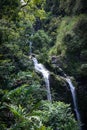 Waterfall in Maui Hawaii Royalty Free Stock Photo