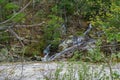 Waterfall into Maury River at Goshen Pass Royalty Free Stock Photo