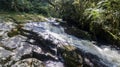 Route of the waterfalls with 14 waterfalls in corupa one of the last areas of the Atlantic forest in Brazil.