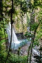 Waterfall of Mexico Xico Veracruz fog forrest Royalty Free Stock Photo