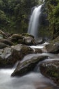 waterfall in the Middle of the forest