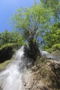 waterfall in the middle of the forest