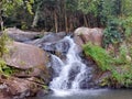 A waterfall in the middle of the forest Royalty Free Stock Photo