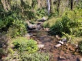 A waterfall in the middle of the forest Royalty Free Stock Photo