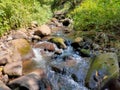 A waterfall in the middle of the forest Royalty Free Stock Photo