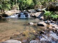 A waterfall in the middle of the forest Royalty Free Stock Photo