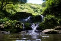 a waterfall in the middle of a lush green forest Royalty Free Stock Photo