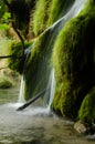 Waterfall in the middle moss in the forest