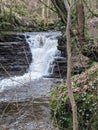 Waterfall in Slitt Woods, on Middlehope burn, Weardale Royalty Free Stock Photo