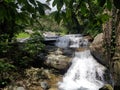 Waterfall and the milky white water