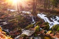 Waterfall in misty autumn forest Royalty Free Stock Photo