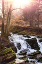 Waterfall in misty autumn forest Royalty Free Stock Photo