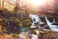 Waterfall in misty autumn forest Royalty Free Stock Photo