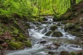 Waterfall in the misty canyon