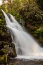 A waterfall with a misty, green forest in the background Royalty Free Stock Photo