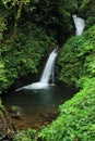 Waterfall in Monteverde Biological Reserve, Costa Rica