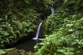 Waterfall in a Monteverde Cloud Forest Reserve in Costa Rica