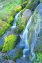 Waterfall and Moss Royalty Free Stock Photo