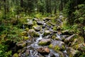 Waterfall and mossy boulders in a lush green forest Royalty Free Stock Photo