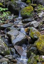 Waterfall Mount Washinton area via Ammonoosuc ravine trail Royalty Free Stock Photo