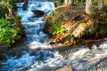 waterfall in mountain forest,travel concept in the wild. Carpathian, Ukraine, copy space, n Royalty Free Stock Photo