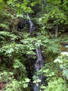 Peavine waterfall Royalty Free Stock Photo