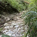 Mountain river Pshada in Krasnodarsky Krai