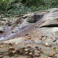 Mountain river Pshada in Krasnodarsky Krai