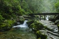 Waterfall at mountain river in summer forest at sunset. Light, mist.