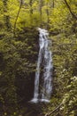 Waterfall in the mountain forest. Untouched wild nature. Royalty Free Stock Photo