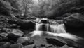 waterfall in the mountains black and white photo Waterfall panorama view in autumn with rocks and foliage.