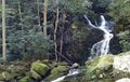 Waterfall in the mountains