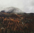 Waterfall in the mountains