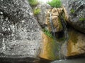 Waterfall in the mountains. Water forest nature green water rocks