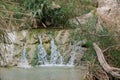 The Waterfall in national park Ein Gedi Royalty Free Stock Photo