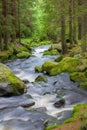 Waterfall in the national park Sumava-Czech Republic Royalty Free Stock Photo