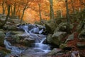 Waterfall in the natural park of Montseny (Barcelona-Spain)