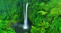 Waterfall Nature Fresh Green Moisture Concept Royalty Free Stock Photo