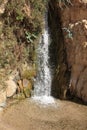 Waterfall in the Nature Reserve of Ein Gedi Royalty Free Stock Photo