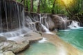 Waterfall nature season spring in forest