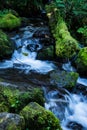 Waterfall near Lake Angeles in Olympic National Park Royalty Free Stock Photo