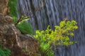 Waterfall near Trikala, Greece - spring picture, detail